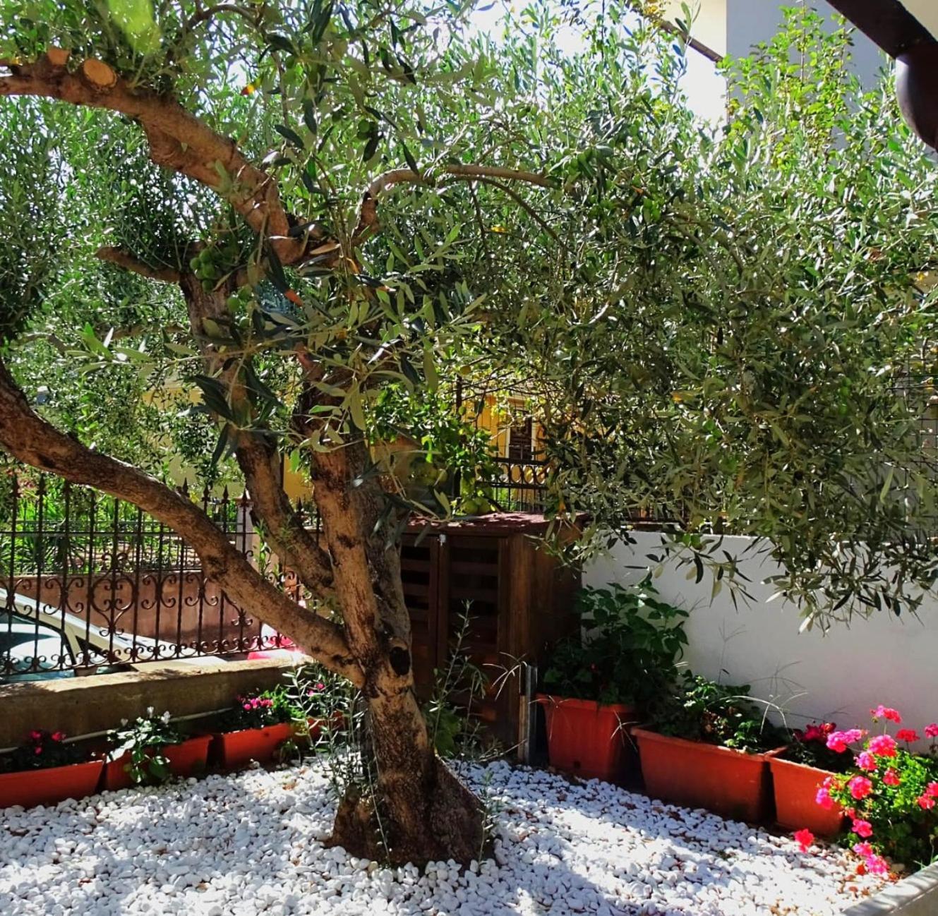 Le Sorgenti Guest House Ilbono Kültér fotó