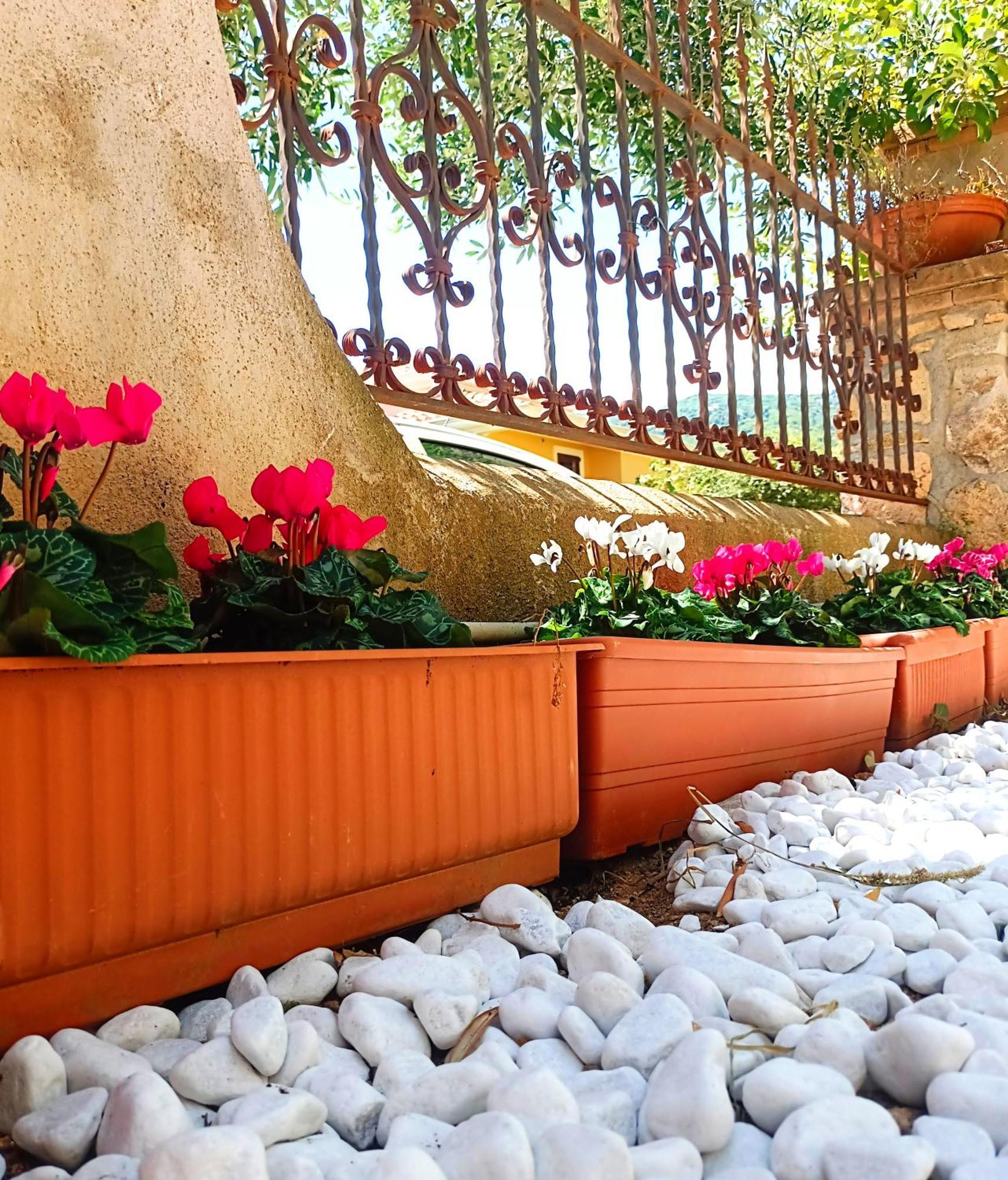 Le Sorgenti Guest House Ilbono Kültér fotó